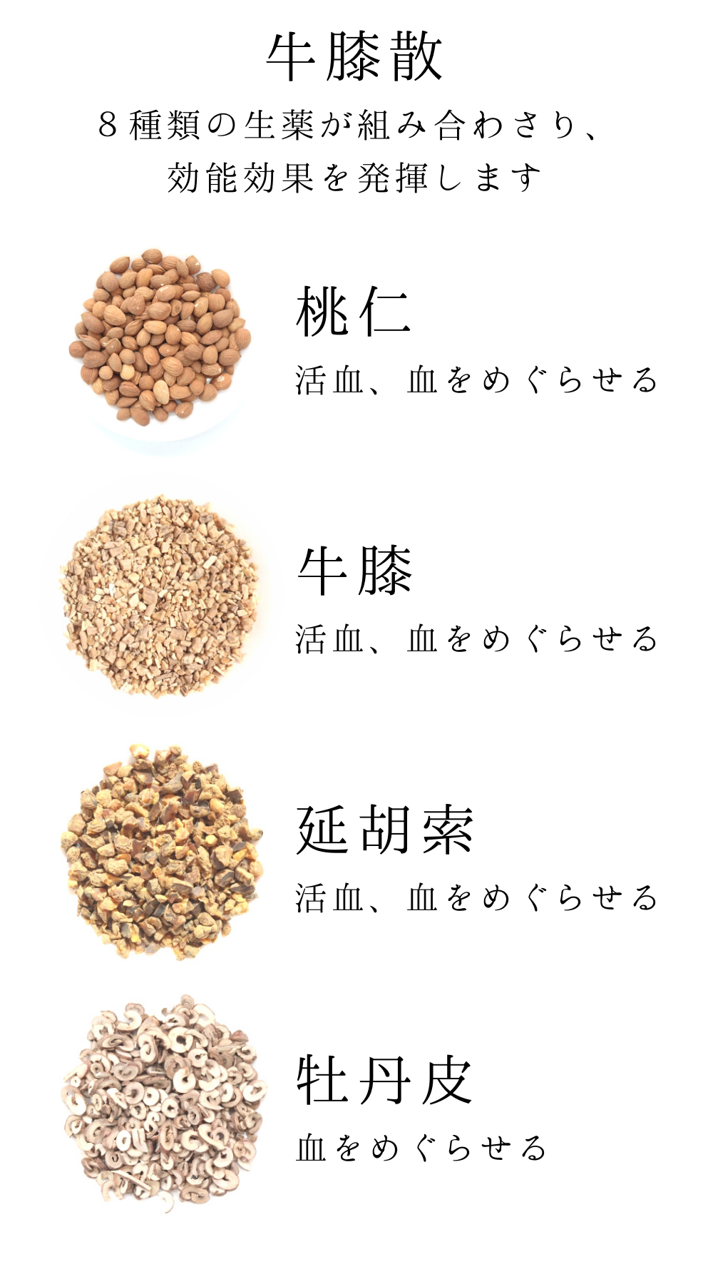 牛膝散料(ごしつさんりょう)【薬局製剤】煎じ薬
