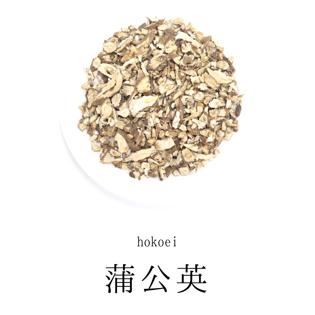 蒲公英根茶 農薬検査済 無添加 たんぽぽ茶