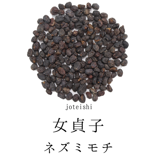 女貞子茶 農薬検査済 じょていし ネズミモチ