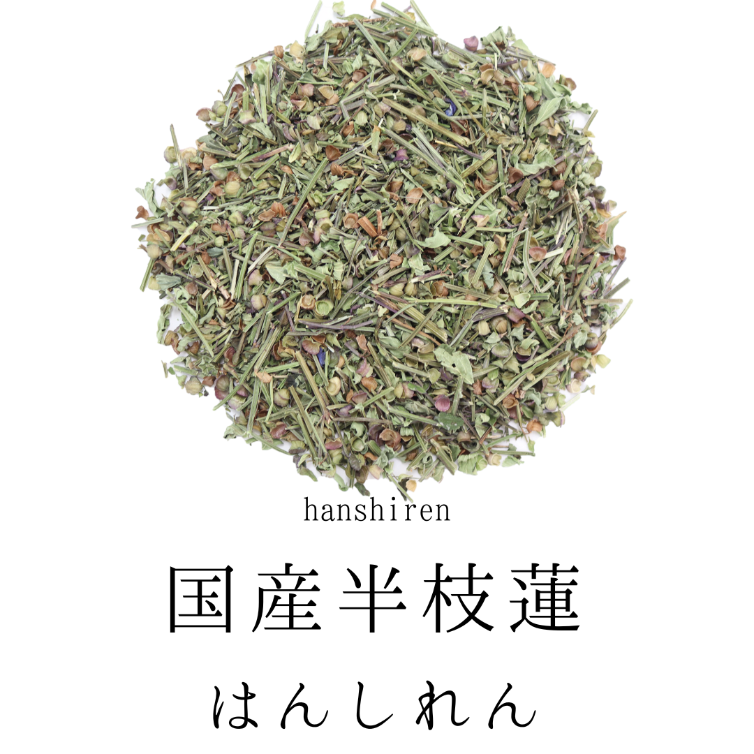 【国産】半枝蓮茶 甘味料、着色料、保存料不使用。残留農薬検査済み。