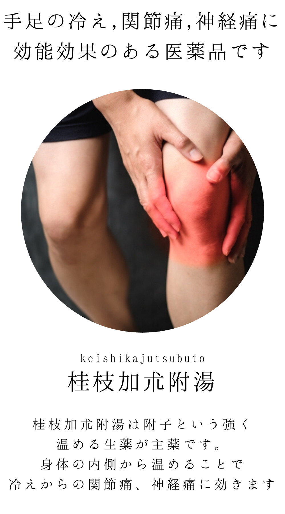 桂枝加朮附湯(けいしかじゅつぶとう)【薬局製剤】煎じ薬