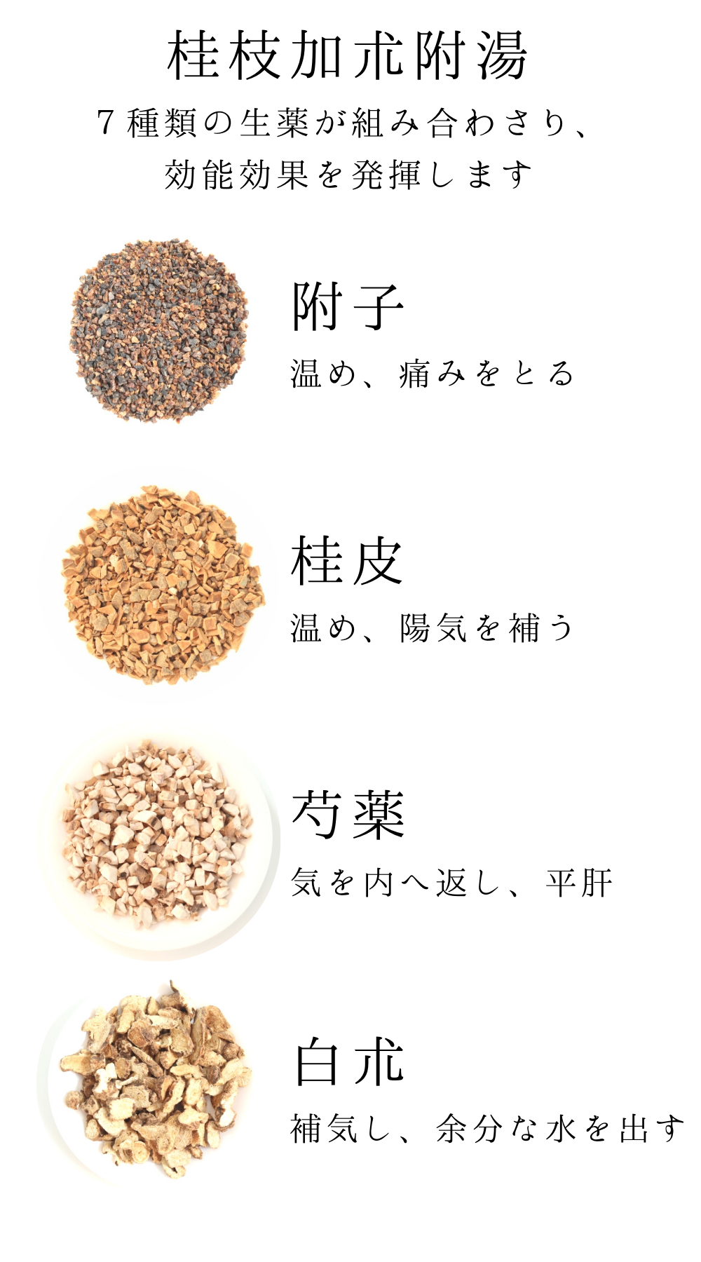 桂枝加朮附湯(けいしかじゅつぶとう)【薬局製剤】煎じ薬