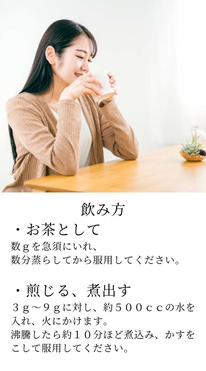 ダイダイの実 きじつ 枳実