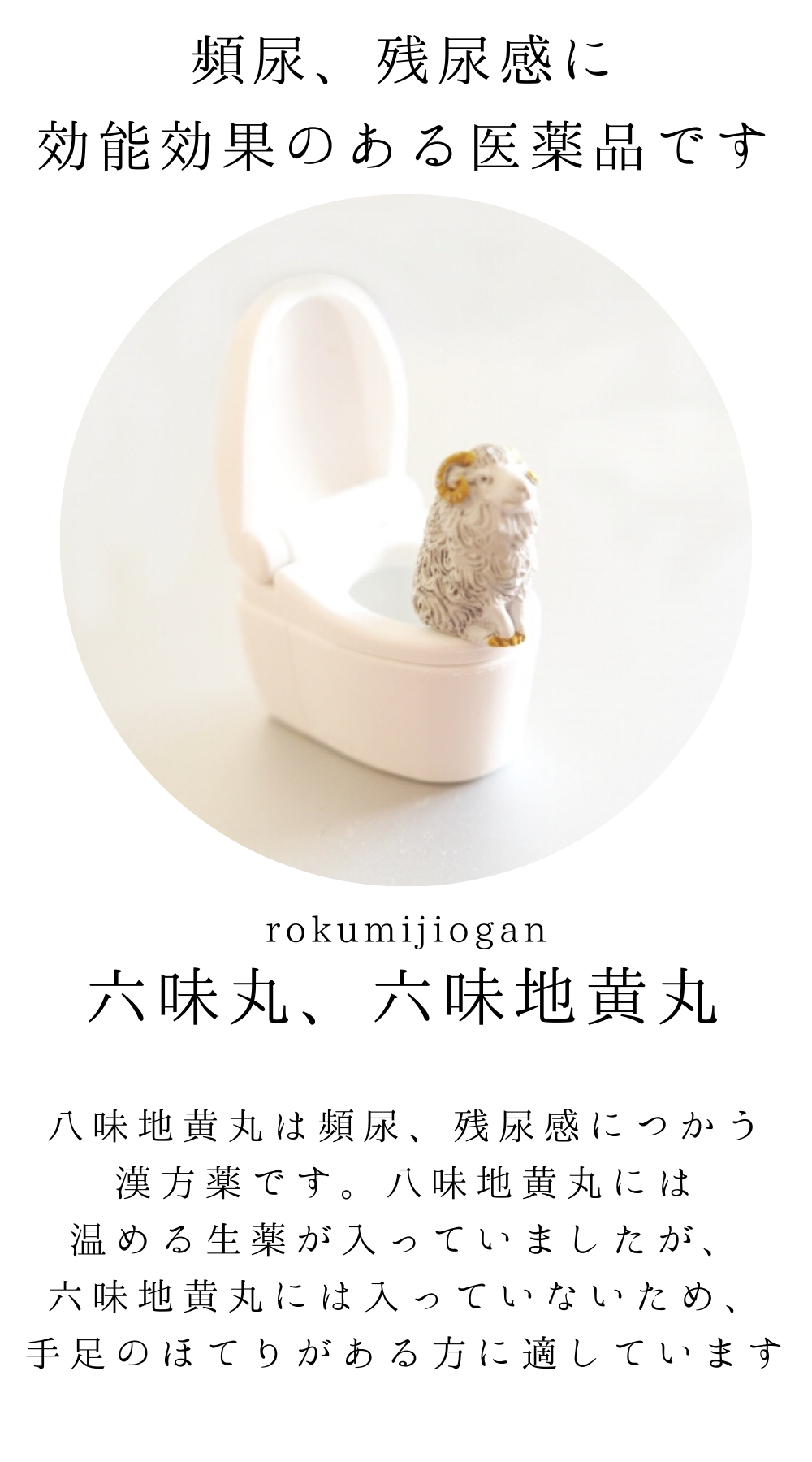 六味地黄丸料(ろくみじおうがん)【薬局製剤】