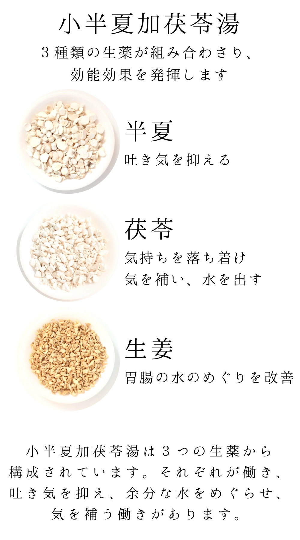 小半夏加茯苓湯【薬局製剤】煎じ薬