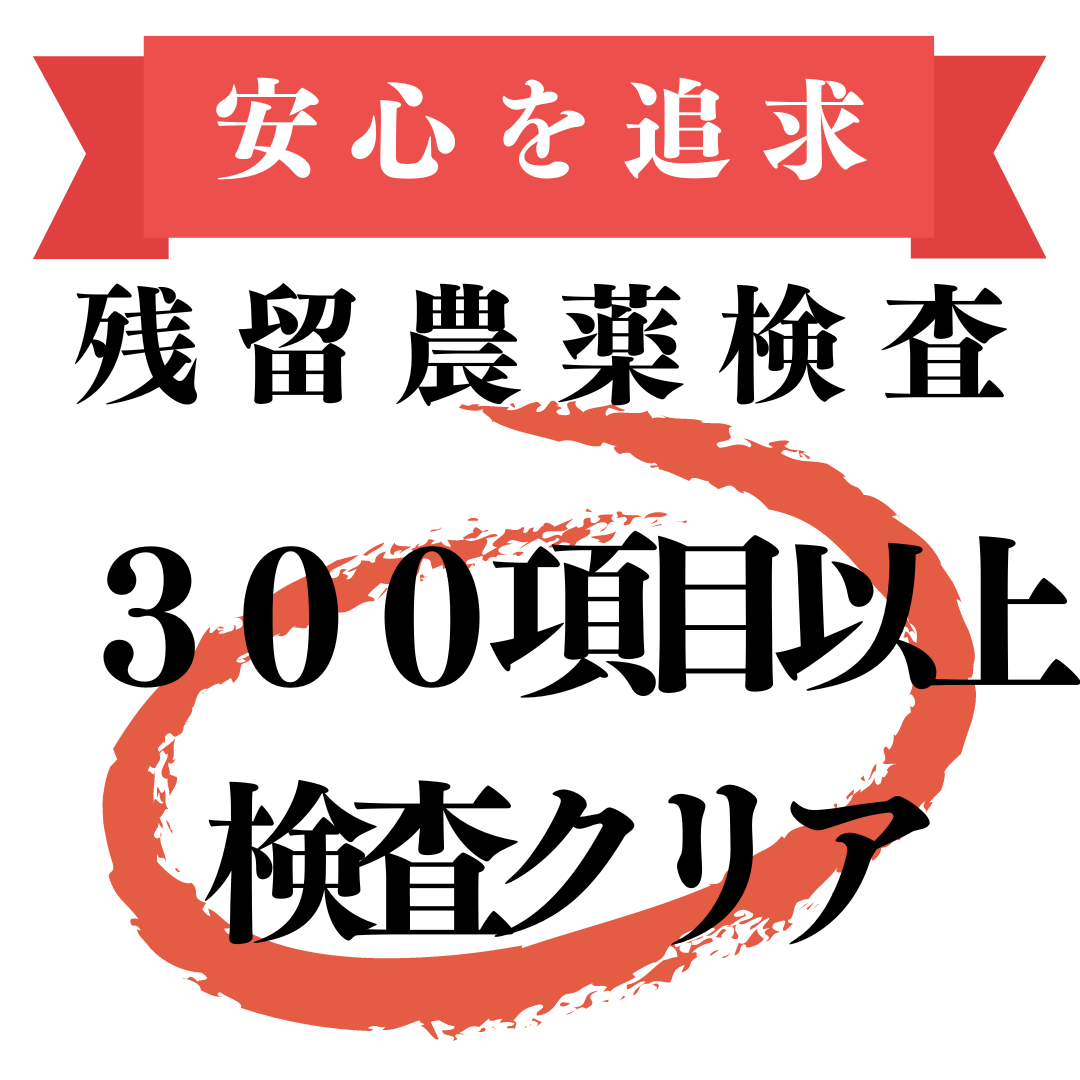 がじゅつ末 農薬検査済 無添加 我朮末 ガジュツ粉末