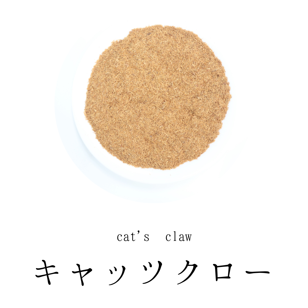 キャッツクロー茶 農薬検査済 無添加 キャッツクロウ