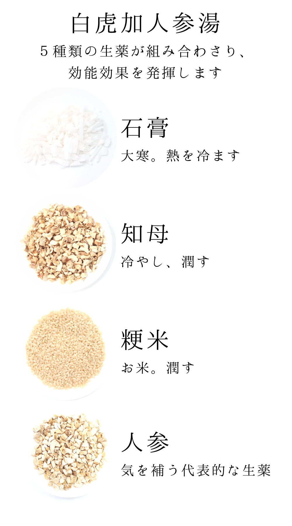 お得大特価】 漢方−４１号 白虎加人参湯（びゃっこかにんじんとう