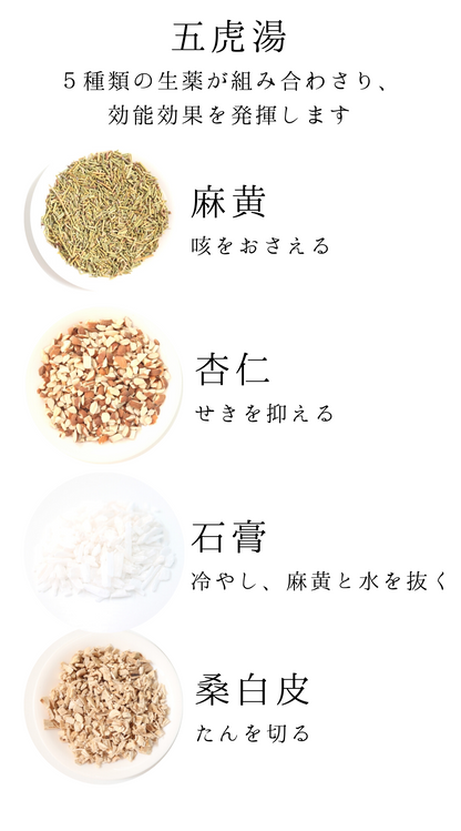 五虎湯(ごことう)【薬局製剤】煎じ薬