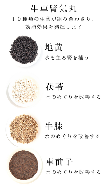 牛車腎気丸料(ごしゃじんきがん)【薬局製剤】煎じ薬