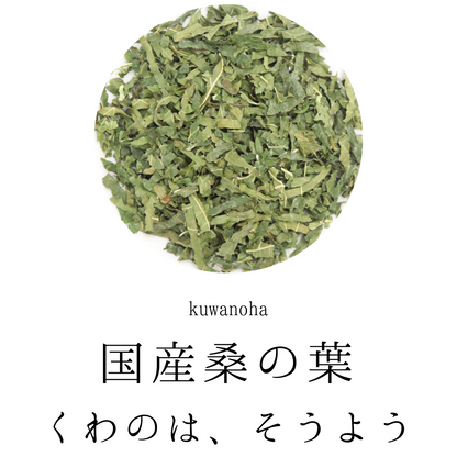 【国産】桑の葉茶 農薬検査済　無添加 桑茶 桑葉
