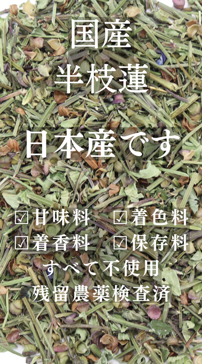 【国産】半枝蓮茶　甘味料、着色料、保存料不使用。残留農薬検査済み。