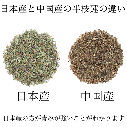 【国産】半枝蓮茶　甘味料、着色料、保存料不使用。残留農薬検査済み。